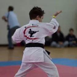 King Tiger Martial Arts Picture 3