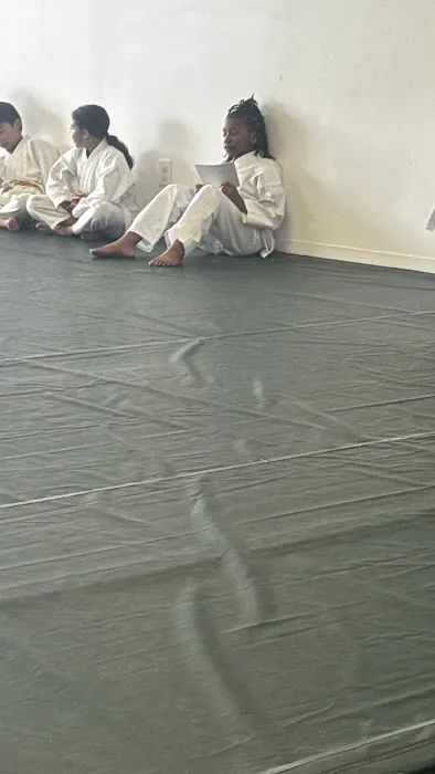 Gracie Jiu-Jitsu Chesapeake/Hampton Roads Karate Picture 3