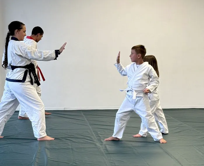 Gracie Jiu-Jitsu Chesapeake/Hampton Roads Karate Picture 1