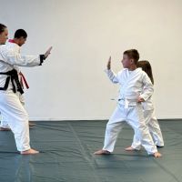 Gracie Jiu-Jitsu Chesapeake/Hampton Roads Karate ico