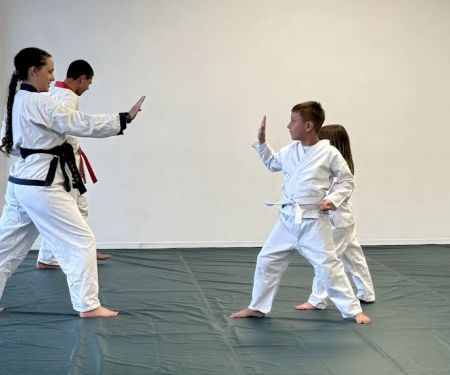 Gracie Jiu-Jitsu Chesapeake/Hampton Roads Karate