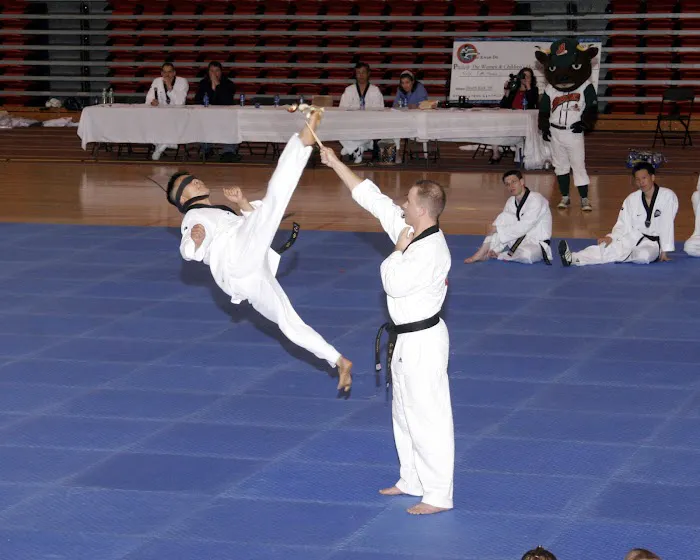 Master Hwang's World Class Martial Arts Picture 2