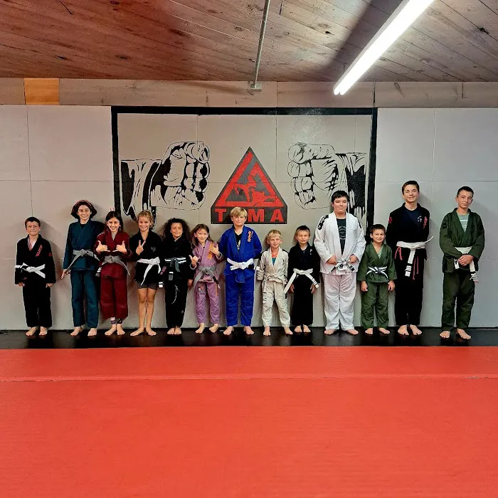 Tinsley Family Martial Arts LLC Elizabeth City Picture 1