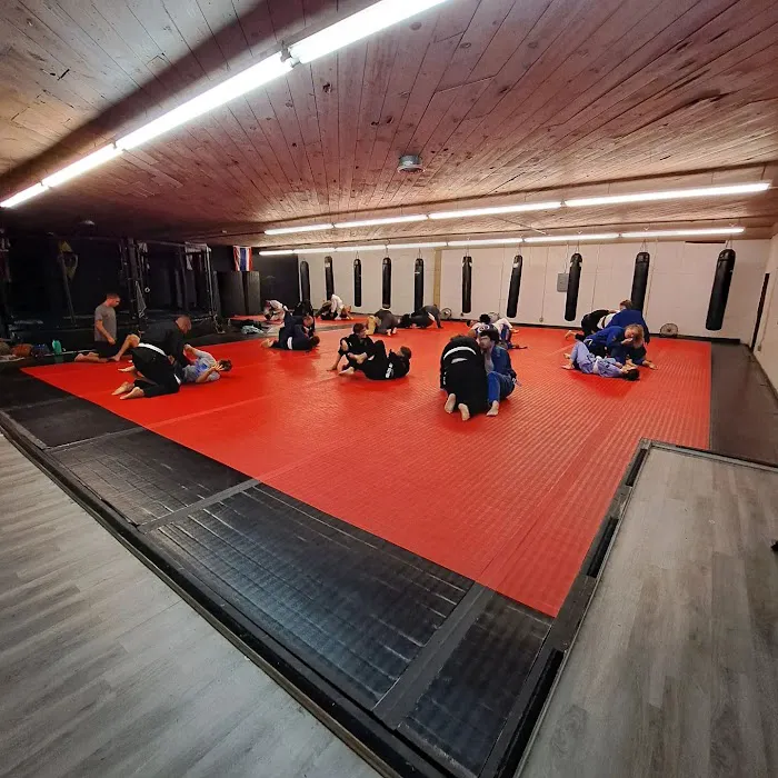 Tinsley Family Martial Arts LLC Elizabeth City Picture 4