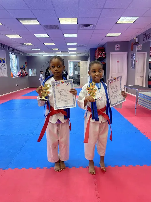 New York's Finest Taekwondo Picture 1