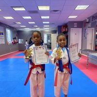 New York's Finest Taekwondo ico