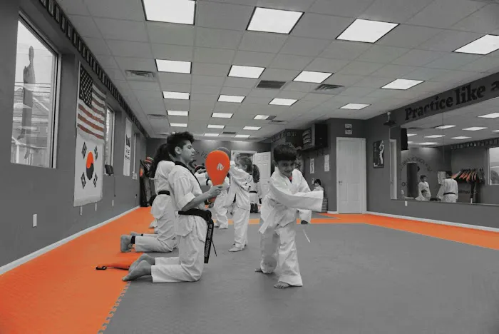 New York's Finest Taekwondo Picture 10