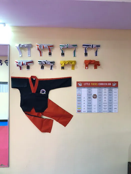 Champions Martial Arts Picture 7