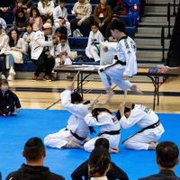 Panda King's Taekwondo ico