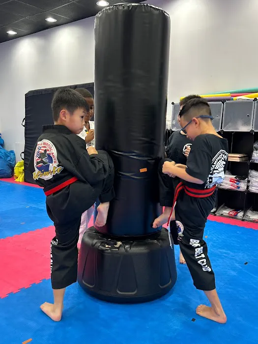 Champions Martial Arts Bay Ridge 1 Picture 7