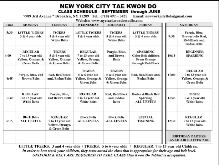 New York City Taekwondo Picture 3