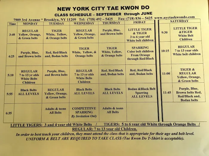 New York City Taekwondo Picture 4