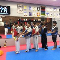 Cho Elite Tae Kwon Do ico