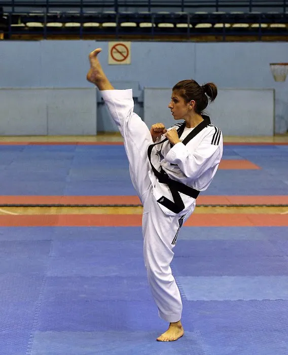 Cho Elite Tae Kwon Do Picture 4