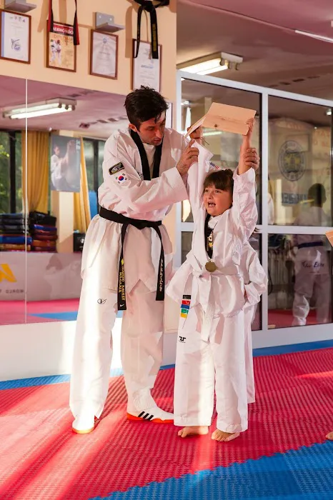 Cho Elite Tae Kwon Do Picture 3