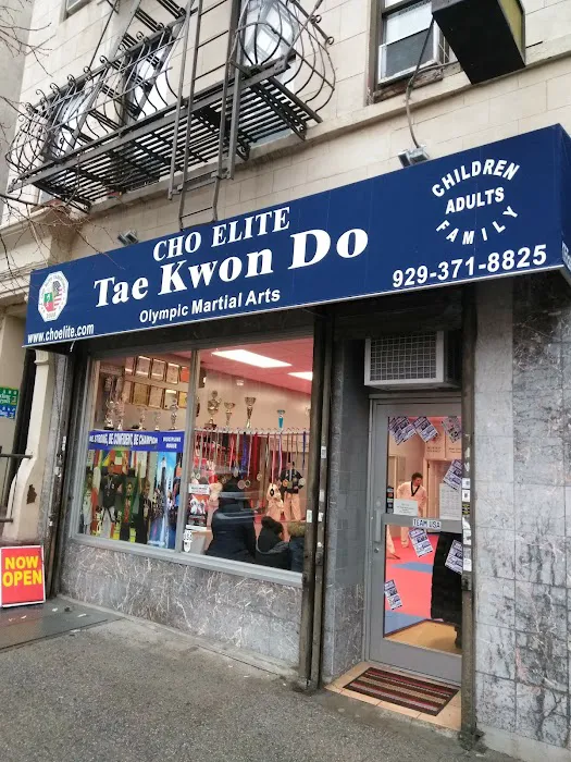 Cho Elite Tae Kwon Do Picture 5