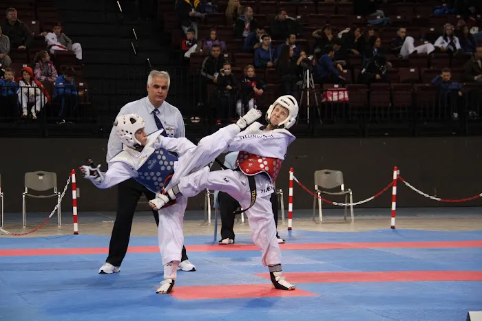 Cho Elite Tae Kwon Do Picture 6