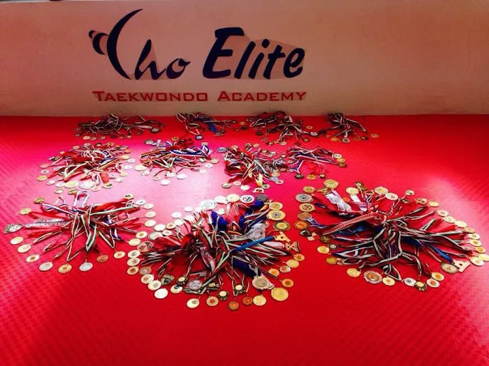 Cho Elite Tae Kwon Do Picture 7