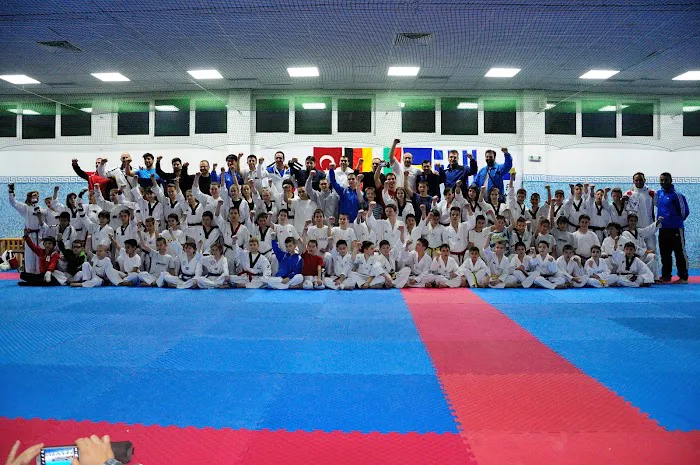 Cho Elite Tae Kwon Do Picture 9