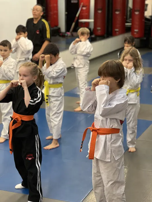 Modern Martial Arts - Upper East Side Picture 7