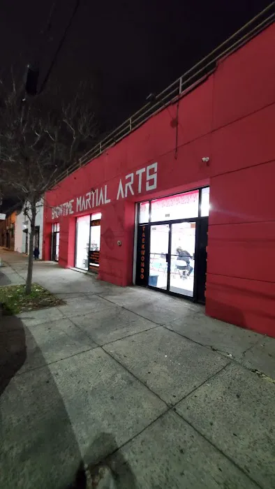 Showtime Martial Arts & Fitness Picture 5