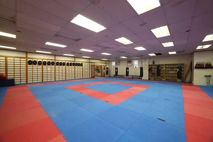 T. Kang Taekwondo - Canarsie Picture 2