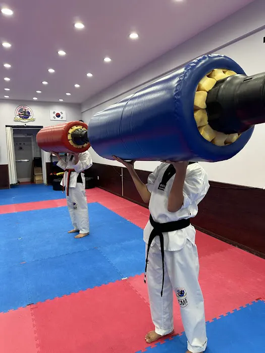 Champions Martial Arts Westbury Picture 1