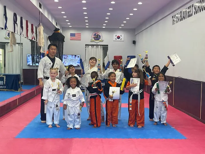 Champions Martial Arts Westbury Picture 3