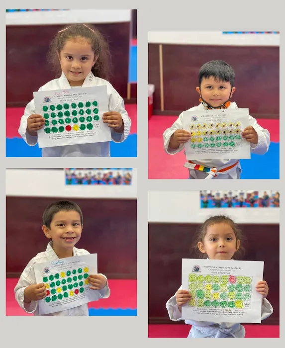 Champions Martial Arts Westbury Picture 8