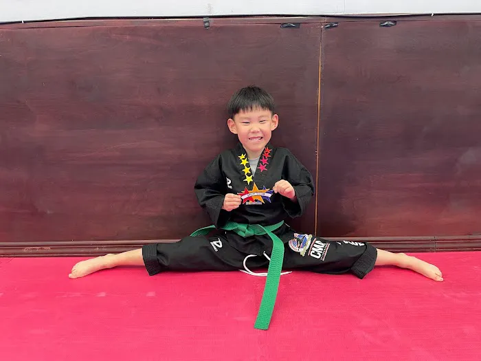 Champions Martial Arts Westbury Picture 7