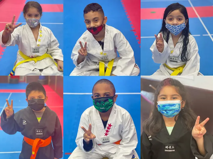 Champions Martial Arts Westbury Picture 9