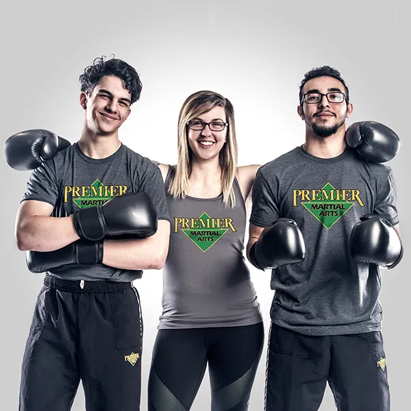 Premier Martial Arts Park Ridge Picture 1