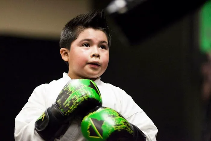 Premier Martial Arts Park Ridge Picture 3