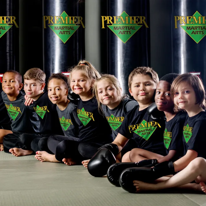 Premier Martial Arts Park Ridge Picture 10
