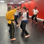 Shaolin Kung-fu Institute East Windsor