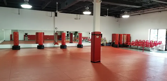 White Tiger Martial Arts Academy Picture 1