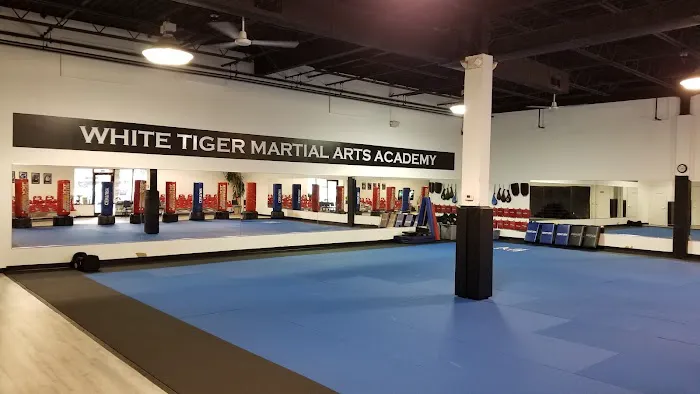 White Tiger Martial Arts Academy Picture 5