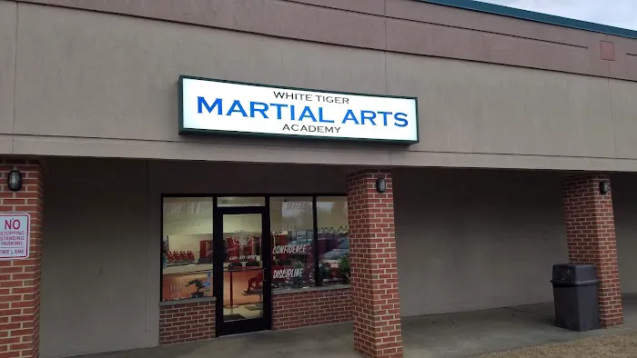White Tiger Martial Arts Academy Picture 4