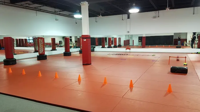 White Tiger Martial Arts Academy Picture 3