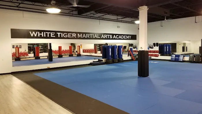 White Tiger Martial Arts Academy Picture 7