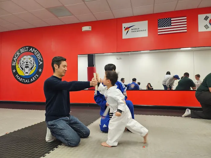 Black Belt America of Princeton Junction Picture 1