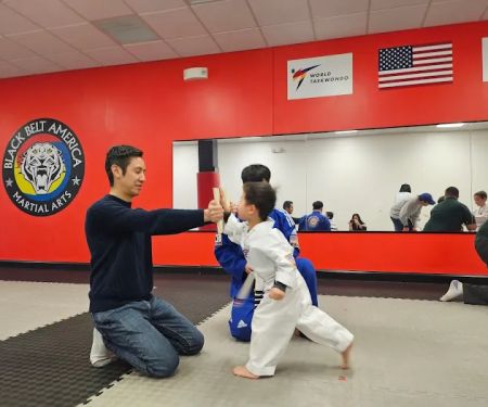 Black Belt America of Princeton Junction