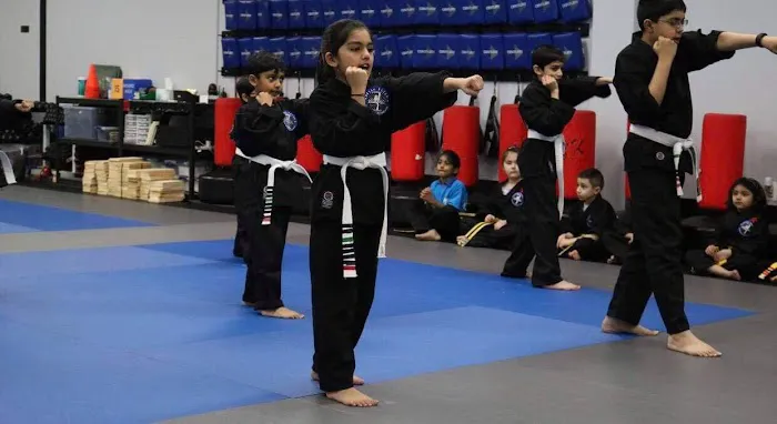 Master Peter's Academy of Martial Arts - Robbinsville Picture 6