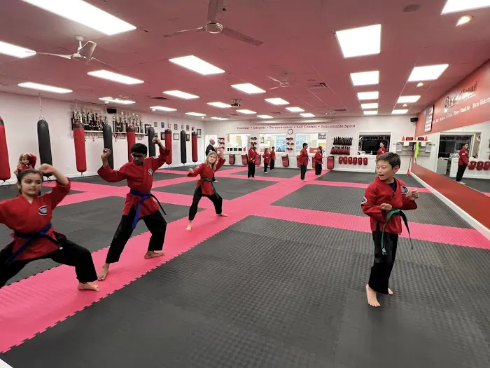 New Jersey TaeKwonDo Kickboxing Academy Picture 3