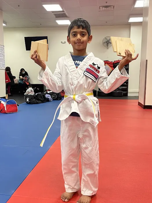 Everson's Karate Institute 