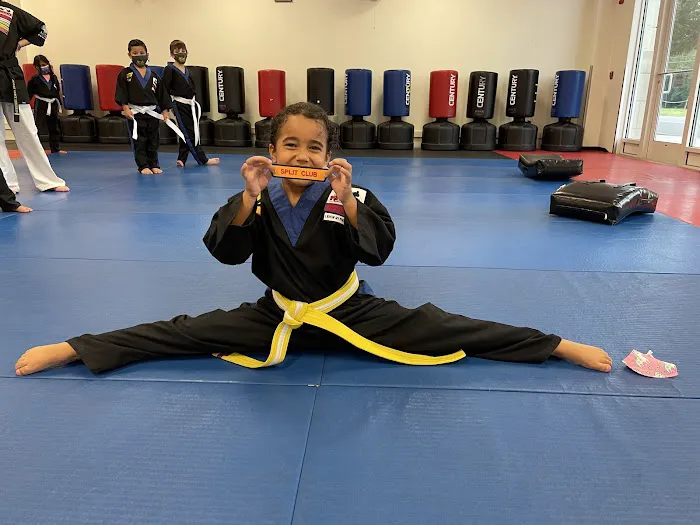 Everson's Karate Institute 