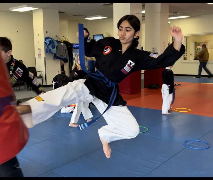 Everson's Karate Institute 