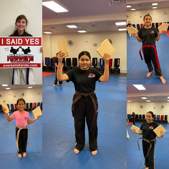 Everson's Karate Institute 