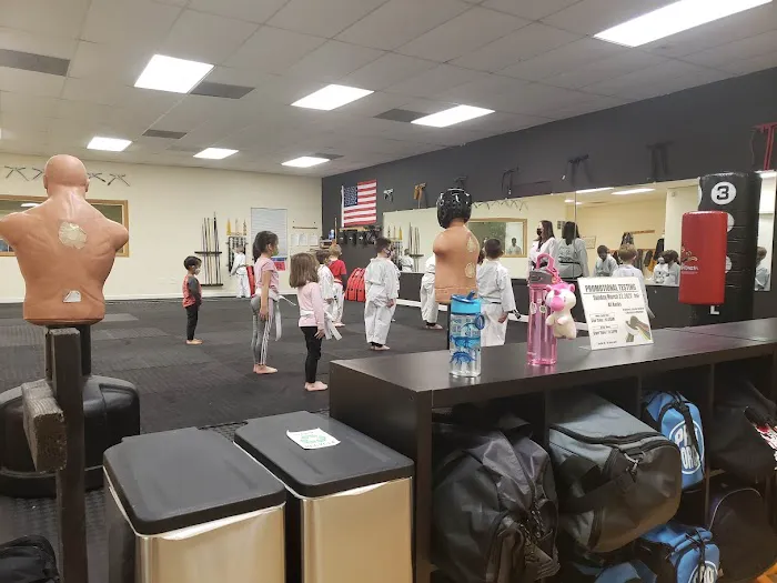 Hamilton United Martial Arts Academy Picture 2