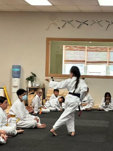 Hamilton United Martial Arts Academy Picture 1